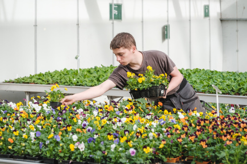 Jeune dans une serre s'occupant de plantes