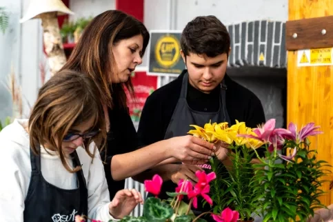 Fleuristerie chateau des vaux