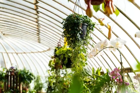 Fleuristerie chateau des vaux