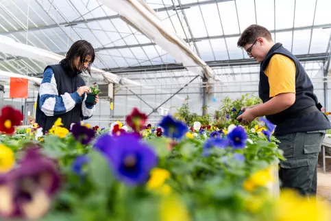 Chateau horti 