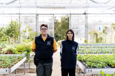 Serres hoticulture château des vaux