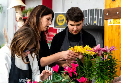Fleuristerie chateau des vaux