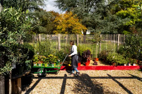 Fleuristerie chateau des vaux