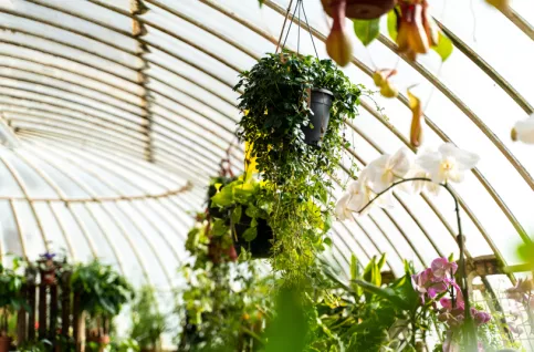 Fleuristerie chateau des vaux