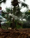 Une jeune tanzanienne arrose un jardin