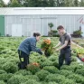 Deux jeunes en formation Horticulture en train de travailler devant les serres de vente