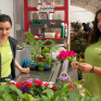 FLEURISTE (CAP)
